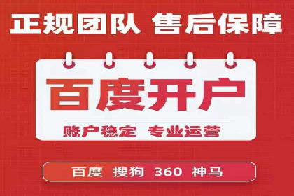 SEM投放策略优化案例分析